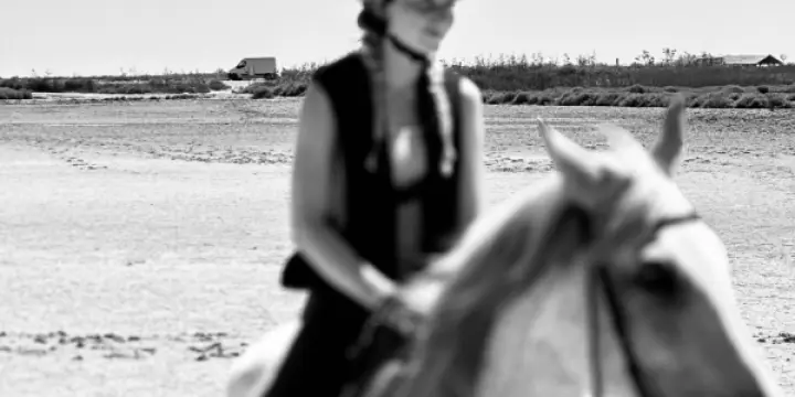 Cavalière (brevet suisse) cherche demi/quart de pension