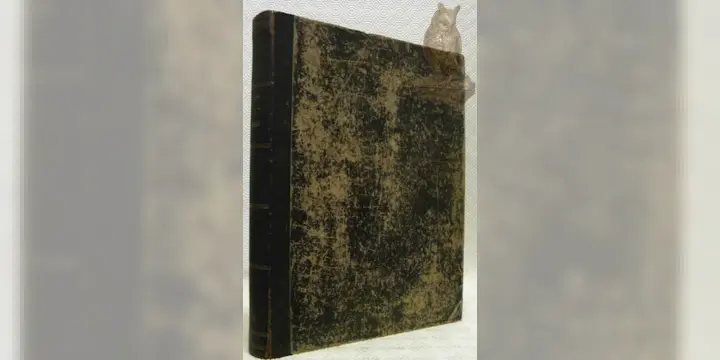 Motifs de serrurerie. Extraits de publications diverses.