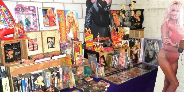 A vendre: Collection Pamela Anderson