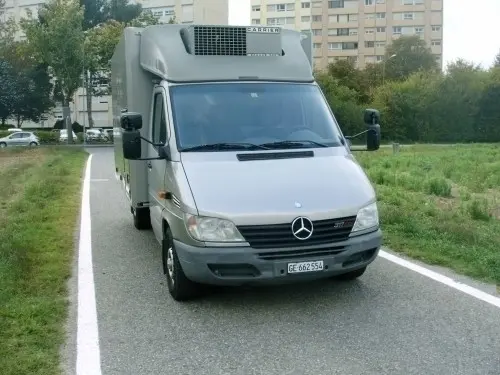 Transports de marchandises terrestres à Versoix