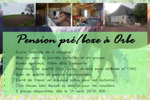Pension Pré / Boxe à Orbe à Orbe