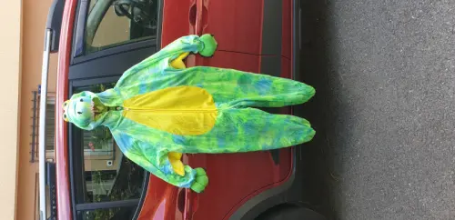 Costume de dragon pour enfants à 1053 Cugy VD