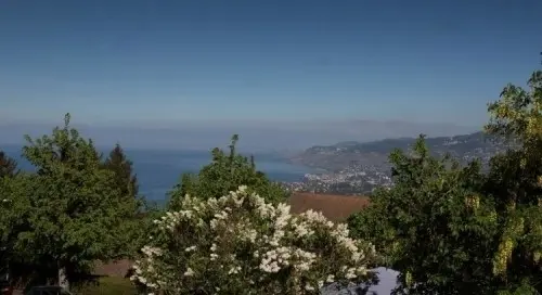 Terrain à bâtir à Glion
