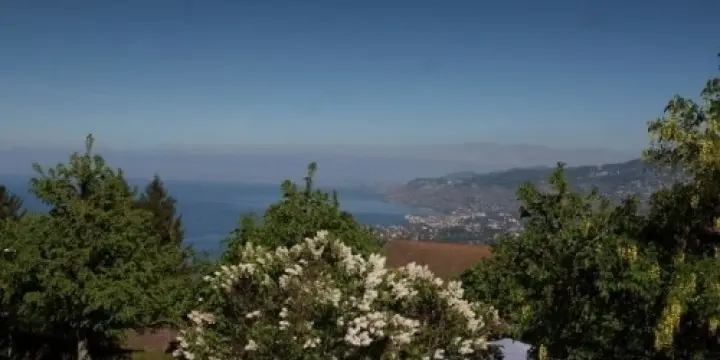 Terrain à bâtir