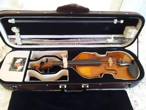 Violon professionnel à vendre