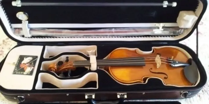 Violon professionnel à vendre