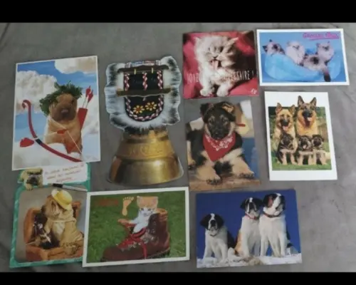 Lot de 9 cartes postales diverses Comme neuves Non écrites à Moutier
