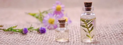Naturopathie pour chiens et chats à Nyon