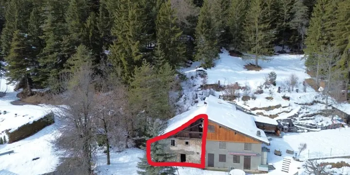 Doppelhaushälfte in Ayent zum Umbauen - Aussicht, 858 m² Landanteil