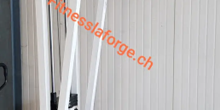 Appareil Lat Machine Technogym Isotonic