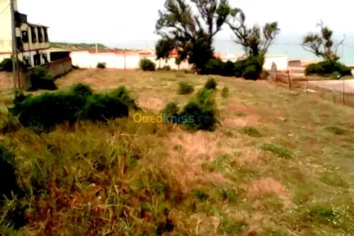vend terrain touristique au bord de mer à alger
