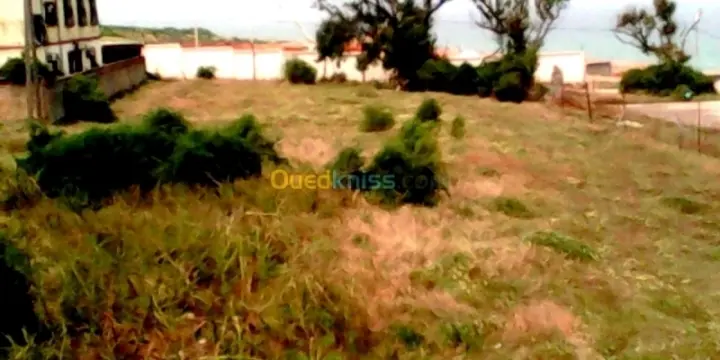 vend terrain touristique au bord de mer