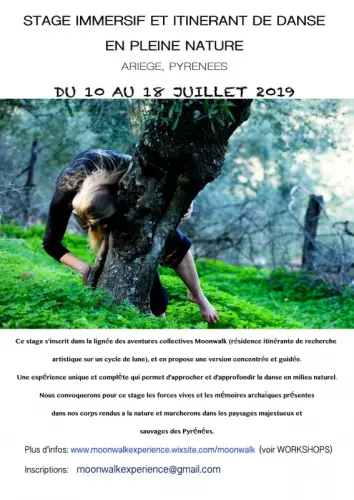 STAGE DE DANSE en ITINERANCE aux PYRENEES. Juillet 10-18 à Chene Bourg
