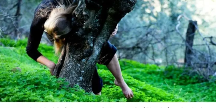 STAGE DE DANSE en ITINERANCE aux PYRENEES. Juillet 10-18