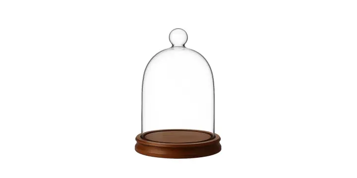 Cloches en verre pour décoration et exposition