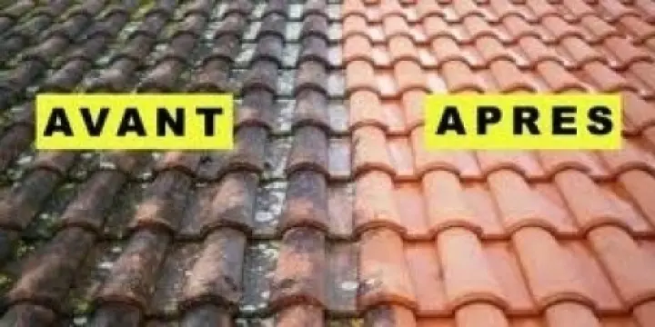 Traitement de toiture contre la mousse