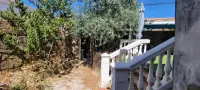 Image 15
