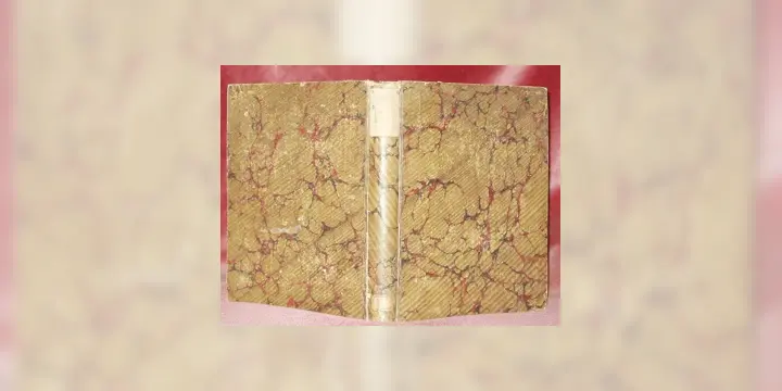 DEUTSCHRIFT des Erzbischöflichen Capitels-Vicariats von Freiburg. Der Gesetzentwurf über die…