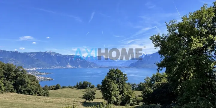 Un cadre de vie rare face au Léman