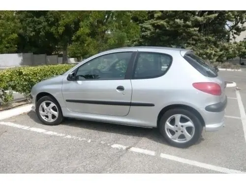 Peugeot 206 à bull