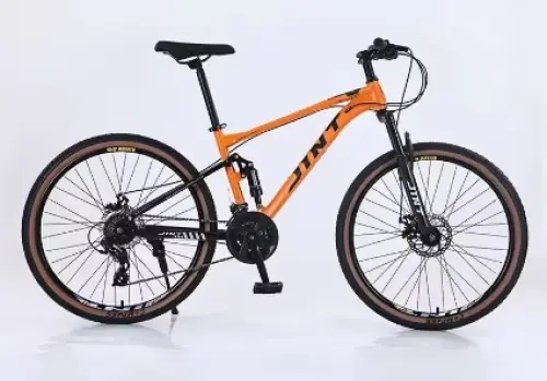 VTT descente 26" double frein disque (NEUF) à Lausanne