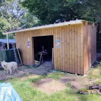 Image 6