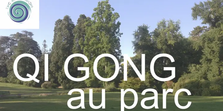 Cours de Qi Gong et Taichi au parc tout l'été sur le canton de Genève
