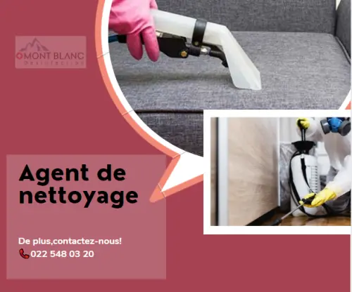 Agent de nettoyage (H) à Genève