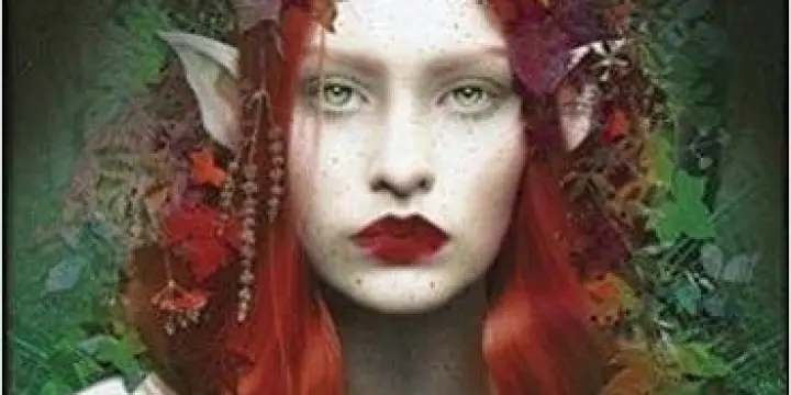Oracle des Esprits de la Forêt