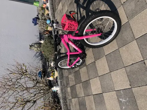 À vendre vélo enfant :Trek Rescoe 20 à Sugiez