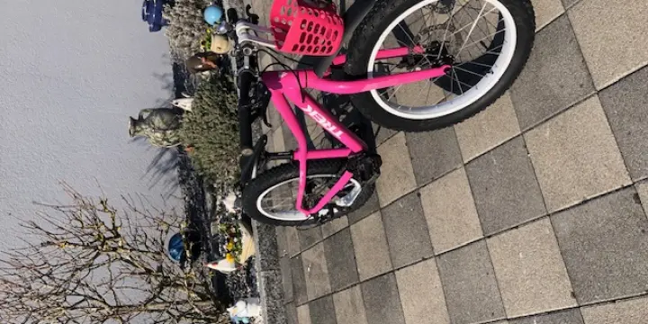 À vendre vélo enfant :Trek Rescoe 20