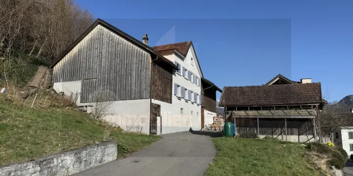 Einfamilienhaus mit Nebengebäuden und Scheune