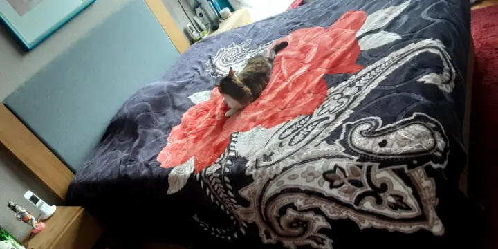 URGENT Magnifique lit complet