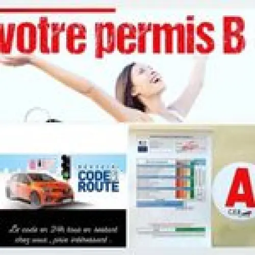 Permis de conduire à bulle