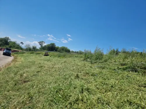 Tonte et débroussaillage en forte pente par robot (Robocut)