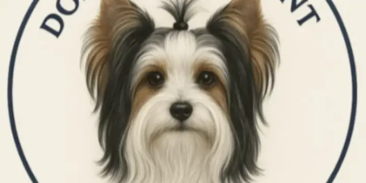 chiots  Yorkshires / Shih Tzu.Domaine du Mont Chokaï