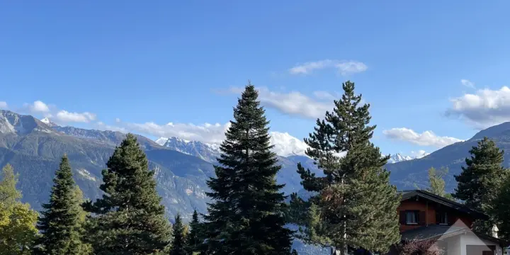 En construction, chalet traditionnel, quartier calme, vue panoramique