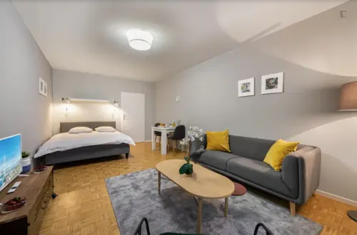 Studio meublé refait a neuf à Genève