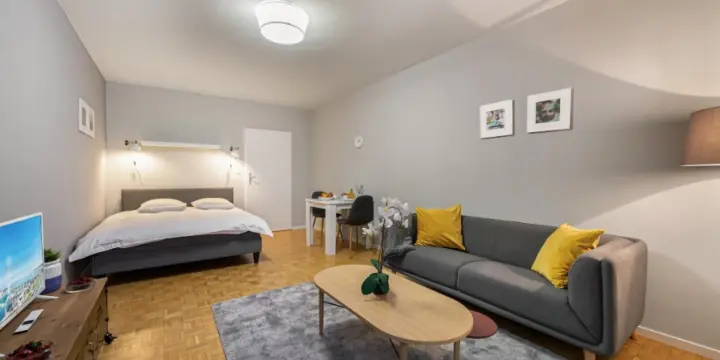 Studio meublé refait a neuf