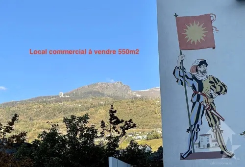 Local commercial de 550 m2 sur 2 niveaux, vendu loué jusqu'à fin 2029