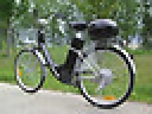 vélo électrique 250w e-bike femme à grandson