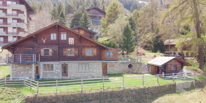 Grand chalet de trois logements au centre de la Tzoumaz