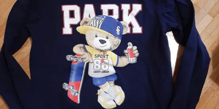 Lot shirts /pulls garçon 11/12 Ans