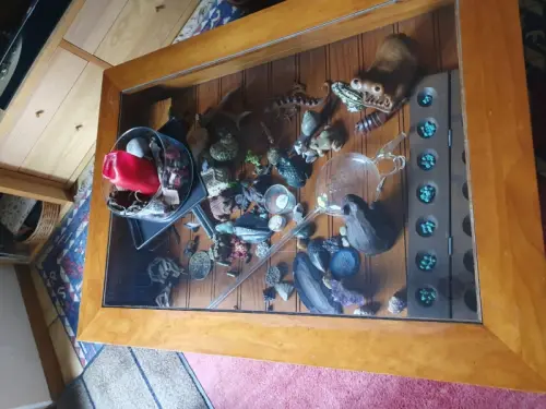 Table vitrine à Chappel