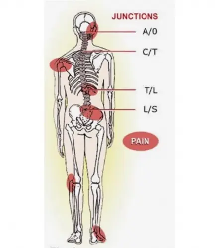 Hernie, sciatique, nuque, jambes ? à Villeret