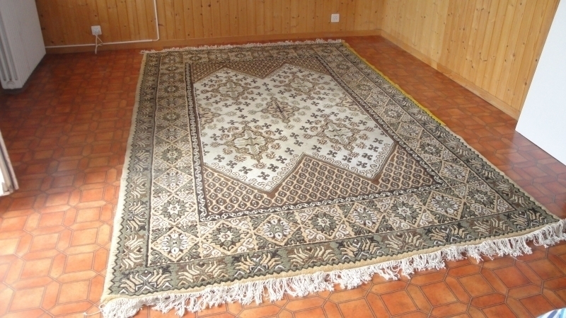 Tapis d'Orient Moderne en Laine