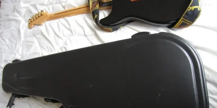 Fender AM Pro Strat HSS RW ATO