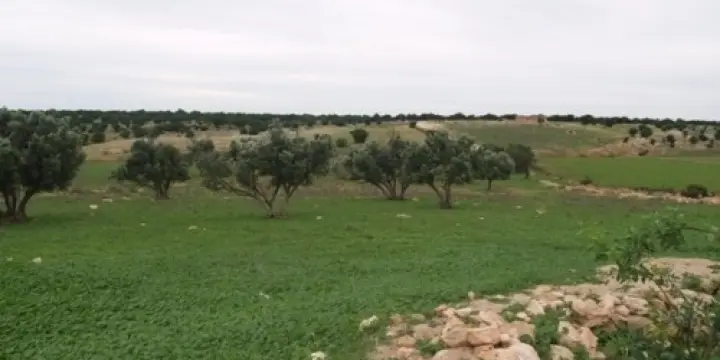 Terrain à Essaouira Maroc