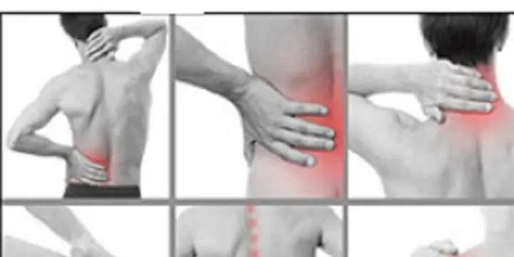 VRP. multicartes vendeur