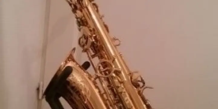 Saxophone professionnel Alto Brancher AG